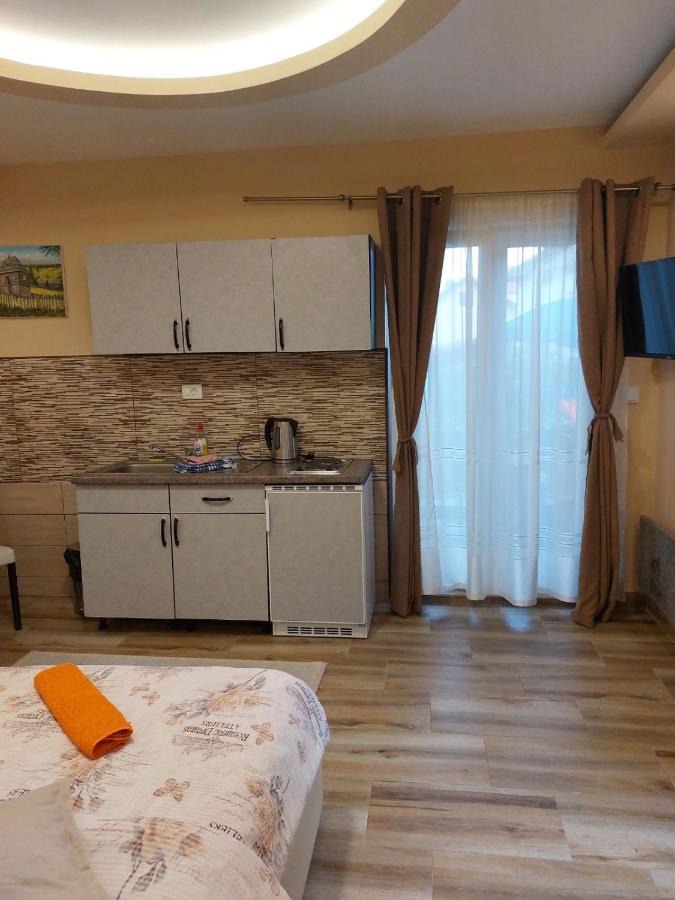Apartmani Knezevic Zlatibor Exterior foto